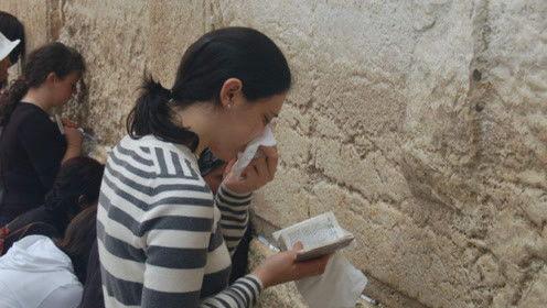 娱乐吃瓜君可怜,揭秘娱乐圈背后的可怜真相