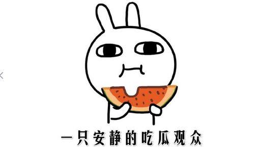 娱乐吃瓜酱相处方式